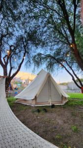 a white tent sitting in a field under trees at Cabaña AlpinA Ixmiquilpan in Ixmiquilpan