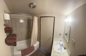 a bathroom with a shower and a sink and a toilet at Pine Creek Motel in Waskatenau +2 photos