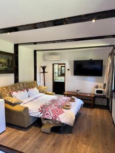 a bedroom with a large bed and a flat screen tv at Old Court in Curtea de Argeş