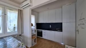 a kitchen with white cabinets and a sink and a window at Appartamenti Villa Colibri in Neggio
