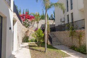 a stairway with a palm tree next to a building at Aria Apartment 1 in Dhërmi