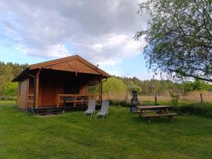 a cabin with a picnic table and chairs in the grass at Agrodomek in Łowyń