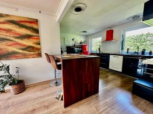 a kitchen with a counter and a large painting on the wall at Chatka in Tappernøje