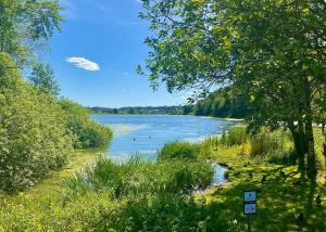 a river with people swimming in the water at Abildsø Apartment in Oslo +6 photos