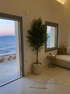 a living room with a potted tree and a window at Villa Harmonia II-Seafront Retreat in Livadáki +9 photos