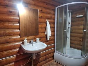 a bathroom with a sink and a shower at Бухта Вікінга in Szack +51 photos