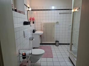 a bathroom with a toilet and a sink at Rosarote Insel - La Vie en Rose in Lindau +15 photos