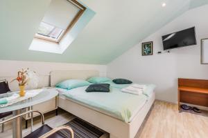 a bedroom with a bed and a desk and a tv at Guesthouse Sobe Silva in Tolmin