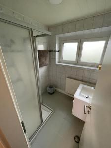 a bathroom with a shower and a sink at GrafOne Apartment in Waizenkirchen