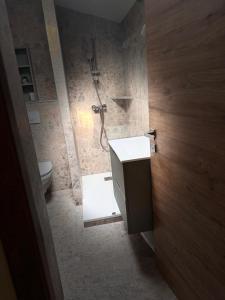 a bathroom with a shower and a sink and a toilet at Maison Milani Centuri in Centuri +11 photos