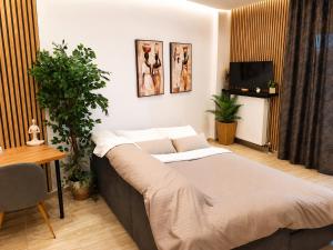 a bedroom with a large bed and a television at Belvedere Penthouse Suite in Tríkala