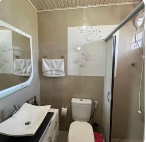 a bathroom with a toilet and a sink and a mirror at Incantare in São Joaquim