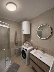 a bathroom with a washing machine and a sink at Bohinj Countryside House in Bohinjska Bistrica +8 photos