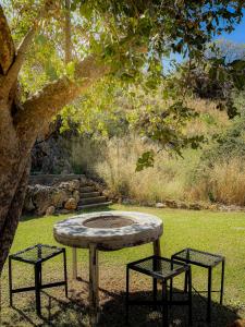 a picnic table with two chairs under a tree at Glocke Mountain Camp in Outjo