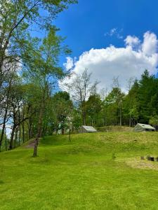 a green field with trees and tents in the background at Sanovia Glamping in Reczpol