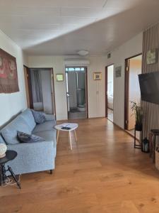 a living room with a couch and a tv at Miðjanes Reykhólahrepp in Reykhólar