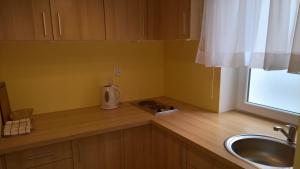 Kuchyňa alebo kuchynka v ubytovaní Apartament Posejdon Kołobrzeg