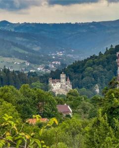 a castle on top of a hill with trees at Căsuța din poveste in Sohodol +19 photos