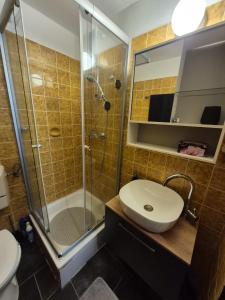 a bathroom with a shower and a toilet and a sink at Modern & Quiet City Apartment in Hannover +6 photos