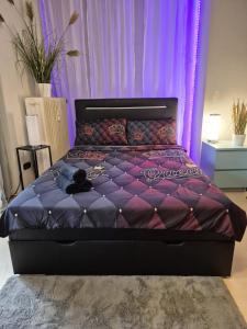a purple bed in a room with purple curtains at Modern & Quiet City Apartment in Hannover