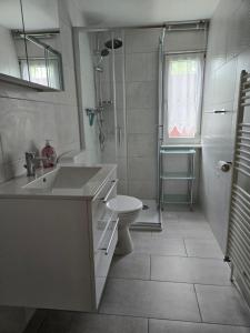 a bathroom with a sink and a toilet and a shower at Ferienhaus Parnet in Neudorf