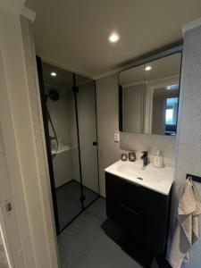 a bathroom with a sink and a shower with a mirror at Halden downtown apartment in Halden +23 photos