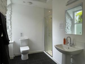 a bathroom with a toilet and a sink and a shower at Hartfield House Hostel in Applecross +22 photos