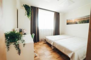 a bedroom with a bed and a window at MADARAS Country house in Ventava