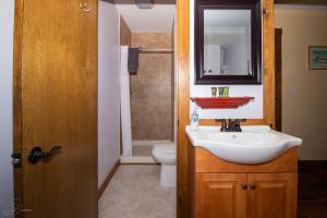 a bathroom with a sink and a toilet and a mirror at The Old Lantern Inn in Charlotte