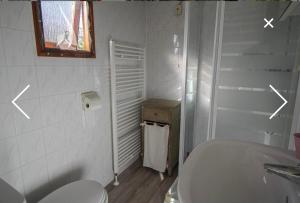 a bathroom with a tub and a toilet and a sink at Champagnehuisje in Voorthuizen +12 photos
