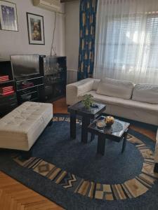 a living room with a couch and a coffee table at Apartman Kali Leskovac in Leskovac
