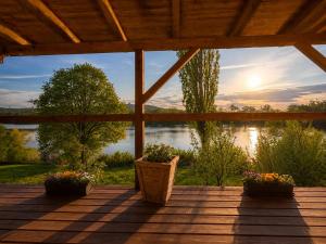 a porch with three potted plants and a view of a lake at Lake View Glamping pod Radyní bez tekoucí vody s omezenou elektřinou in Hvížďalka