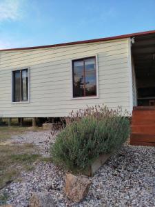 a house with a plant in front of it at casa Andylu in Punta Del Diablo