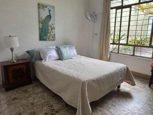 ein Schlafzimmer mit einem Bett und einem Fenster in der Unterkunft Bright Room in Córdoba