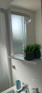 a bathroom sink with a mirror and two plants on a shelf at Studio apartman Fortica in Otočac