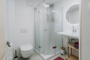 a bathroom with a shower and a toilet and a sink at Weifer Biobauernhof in Prägraten