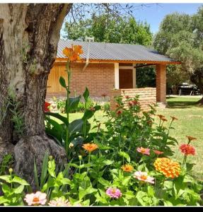 a garden with flowers in front of a house at Lo de Chimila in San Javier +4 photos