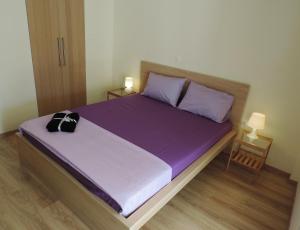 アテネにあるApartment in the Centre of Athensのベッドルーム1室(紫のシーツが敷かれた大型ベッド1台付)