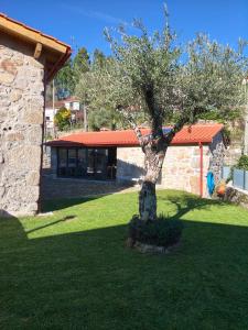 a tree sitting in the middle of a yard at Casa da Pinha in Ponte da Barca