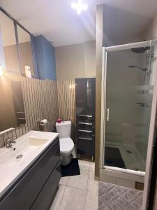 a bathroom with a toilet and a shower and a sink at Appartement Cuvier in Roubaix