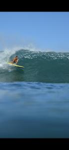 a man riding a wave on a surfboard in the ocean at Dolphin Quest Apartment #1 in Pavones