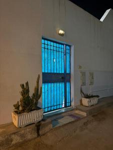 a window in a room with two potted plants at Dar KAMOUN - 2BR Apts with 5G WiFi & Parking, Houmt Souk & Corniche in Houmt Souk