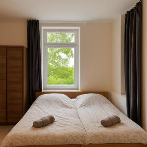 a bedroom with a large bed with a window at ESER Hotel Pension in Beuggen +9 photos