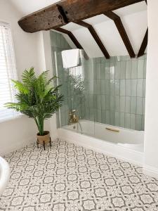 a bathroom with a tub and a plant in it at The Raven Suites in Much Wenlock +109 photos