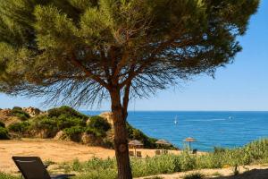 a tree and a chair on the beach at Vila Foz Club - Algarve in Alvor