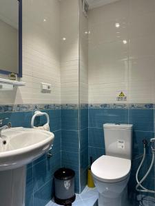 a bathroom with a toilet and a sink at APARTAMENTOS ALBATROS in Asilah +23 photos