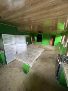 an empty room with a table and green walls at Casa Aloe in Pavones +35 photos