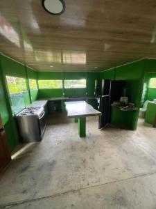 a kitchen with green walls and a table and a stove at Casa Aloe in Pavones