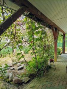 a covered porch with a chair and a tree at Pensjonat agroturystyczny Sosnówka - KOSARZYN in Kosarzyn
