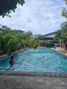 a woman and two dogs in a swimming pool at Monkey House Hostel & Guest House Koh Samui in Chaweng Noi Beach